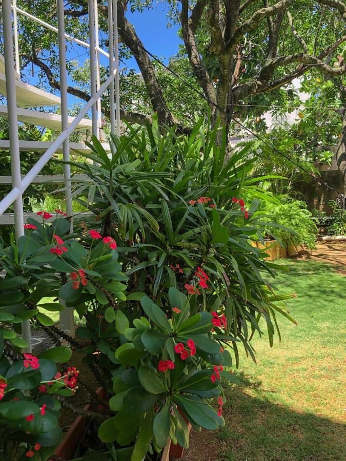 Posada Nativa Bernard Place San Andrés エクステリア 写真